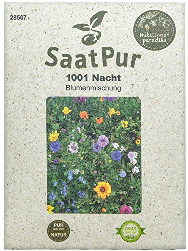 SaatPur - Pérgola de flores 1001-noche, mezcla de flores de un año, abejas, mariposas, insectos