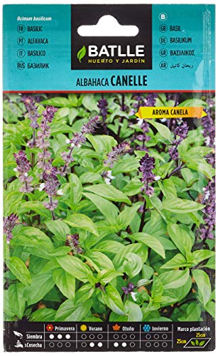 Semillas Aromáticas - Albahaca Cannelle - Batlle