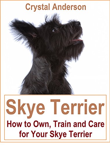 Skye Terrier: How to Own, Train and Care for Your Skye Terrier (English Edition)