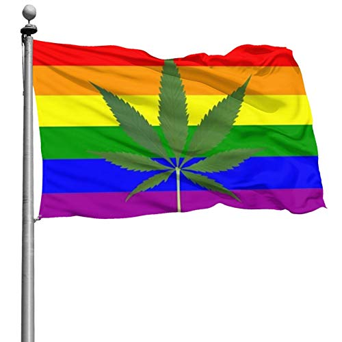 YeeATZ Cannabis and Rainbow Flag 4x6 Foot - Vivid Color and Fade Proof - Canvas Header and Double Stitched - Gay Pride Garden Flags with Brass Grommets 4 X 6 Ft