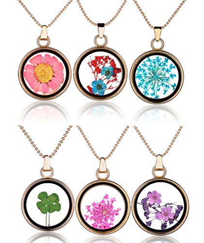 Yumilok Set de 6 colgantes con diferentes flores secas y tréboles, redondos, de cristal transparente y aleación, para mujer