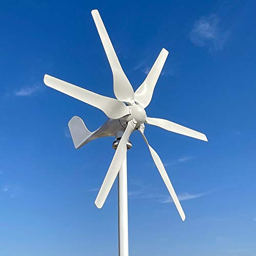 6 cuchillas de energía libre 800W turbina eólica 12v 24v 48v generador de viento de alta eficiencia molino de viento para casa yate granja (24V con controlador)