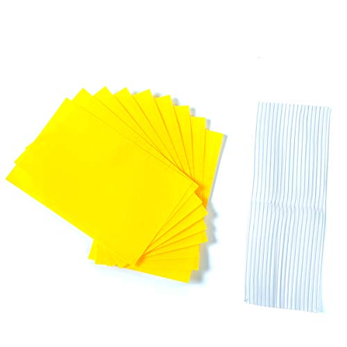 Allein - Lote de 24 pegatinas amarillas para moscas, trampas insectos (pizarras amarillas)