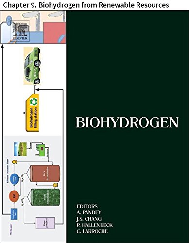 Biohydrogen: Chapter 9. Biohydrogen from Renewable Resources (English Edition)