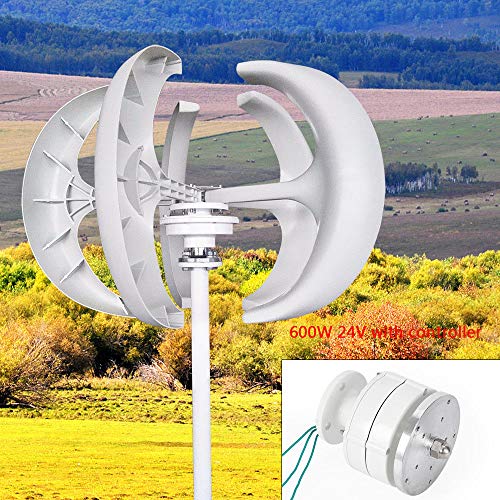 DiLiBee Generador de viento 5 tablillas 12 / 24V 600W Linternas Aerogenerador Turbina de viento DHL (blanco, 600W 24V)