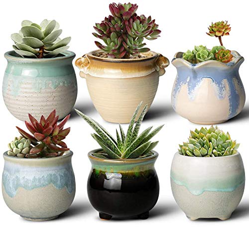 FairyLavie Maceta de Cerámica para Suculentas de 9CM, Tiesto Lindo y Pequeño de Estilo Rústico para Plantas, Decoración de Hogar y Oficina, Conjunto de 6PCS