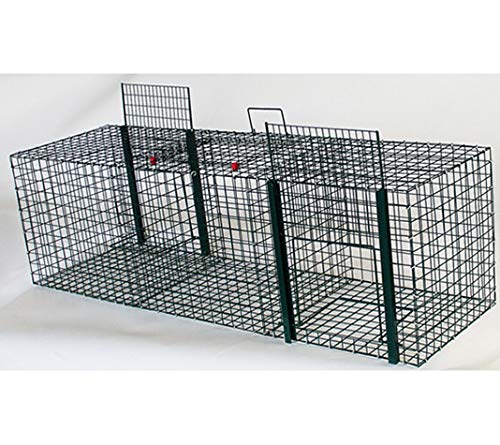 FINCA CASAREJO Jaula Trampa para Aves. Jaula Captura urracas. Trampa urracas Captura Animales Vivos (TC07) FINCA CASAREJO Jaula Trampa para Aves. Jaula Captura urracas. Trampa urracas Captura Animales Vivos (TC07)