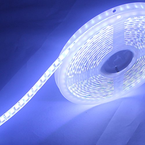 JOYLIT Tiras LED Iluminación CC 12V Blanco frío 6000-6500K 600 LEDs SMD5054 5 metros IP65 Impermeable