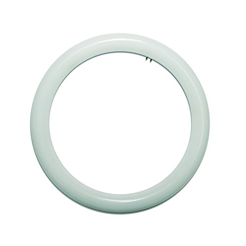LightED - Tubo LED Circular G10, 20 W, Blanco, 300 mm