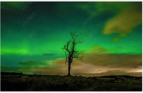 Papel Pintado Pared 3D Verde Aurora Negro Gran Árbol Paisaje Natural Papel De Pared Tela No Tejida Fotomurales De Decorativos Pared Murales 430x300cm Papel Pintado Pared 3D Verde Aurora Negro Gran Árbol Paisaje Natural Papel De Pared Tela No Tejida Fotomurales De Decorativos Pared Murales 430x300cm