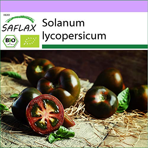 SAFLAX - Ecológico - Tomate - cherry negro - 10 semillas - Solanum lycopersicum