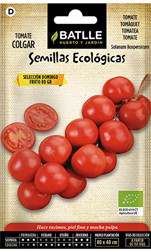 Semillas Ecológicas Hortícolas - Tomate Colgar - ECO - Batlle