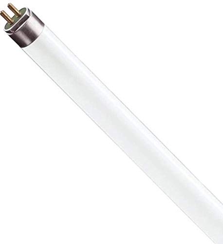 Sylvania fho - Lámpara fluorescente fho 24w/860 t5 es diámetro 16mm