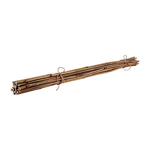Varillas de bambú, varillas para plantas, 120 cm, color natural, diferentes longitudes