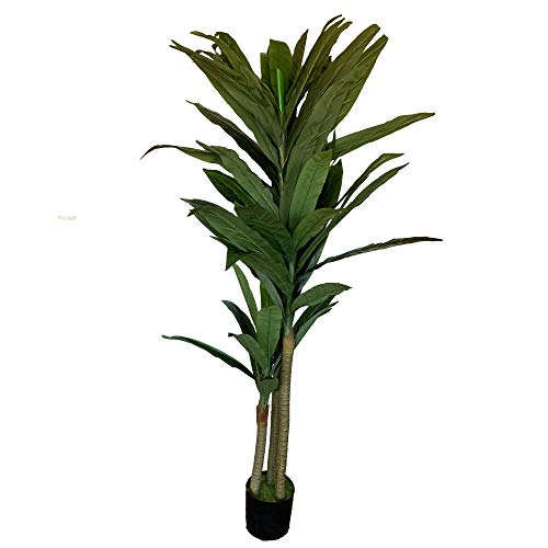 Wellhome Planta Tronco de Brasil Artificial de 190 cm de Altura con Maceta Wellhome Planta Tronco de Brasil Artificial de 190 cm de Altura con Maceta