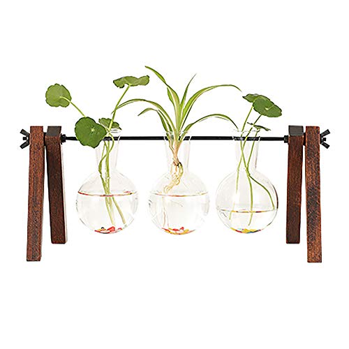 zunbo - Jarrón de cristal con bombillas de cristal para plantas con soporte de madera, jarrón colgante de cristal hidropónico para decoración de oficina, decoración de bodas y 3 jarrones