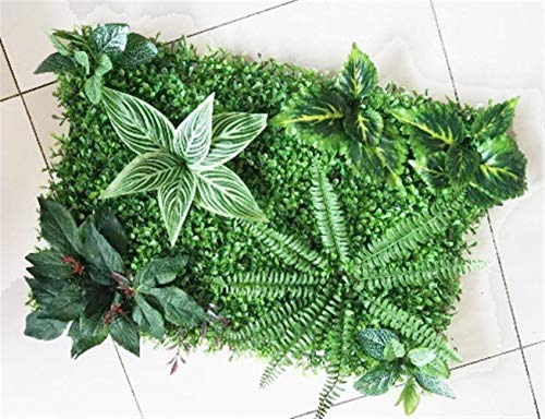 60 * 40 cm Falso Artificial Grass Milán Pared Fondo de Las Plantas de Hierba Artificial Boda Inicio Jardín Vertical de decoración decoración de la Pared (Color : Style 1) 60 * 40 cm Falso Artificial Grass Milán Pared Fondo de Las Plantas de Hierba Artificial Boda Inicio Jardín Vertical de decoración decoración de la Pared (Color : Style 1)