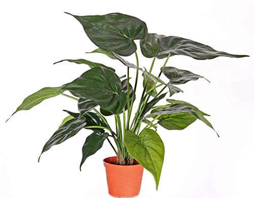 artplants.de Set de 4 colocasias Artificiales AROA, Verde, 50cm - Alocasia sintética - Pack de calidoras de imitación - Planta simulada