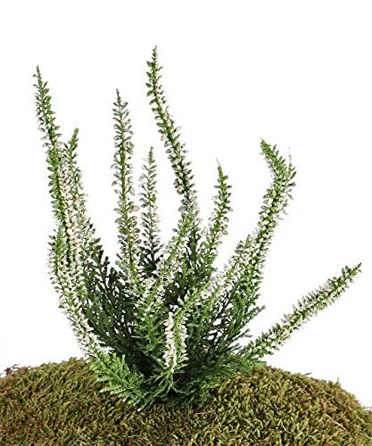 artplants.de Set de 6 x Brezo Artificial IMKE con Vara de fijación, Crema, 25cm, Ø1cm - Erica Textil - Pack de Plantas Falsas - Planta simulada