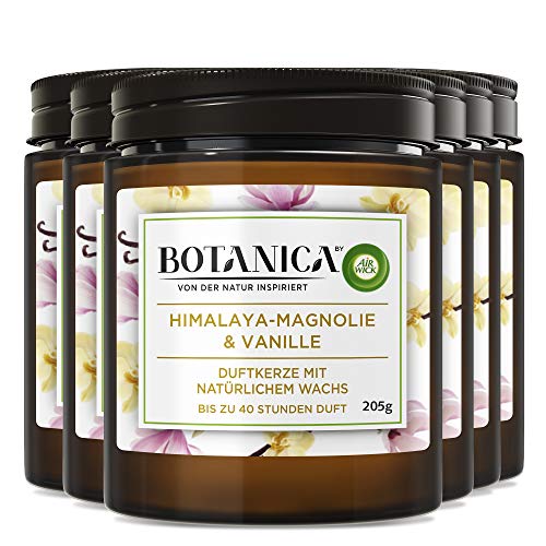 Botanica by Air Wick Vela aromática – Fragancia de magnolia del Himalaya y vainilla – Sostenible con ingredientes naturales – 6 velas en tarro