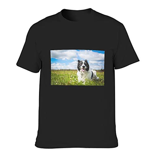 Camiseta de algodón para hombre, diseño de Border Collie Dog negro XXXXXXL