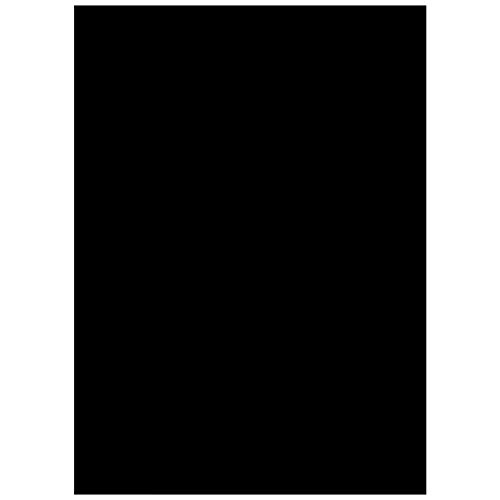 EASEHOME Vinilo Ventana Autoadhesiva Pegatina de Ventana Cristal Película Decorativa Papel Adhesivo Láminas Electrostatica Film Estática Opaco 17.3"x78.7"(44x200cm), Negro