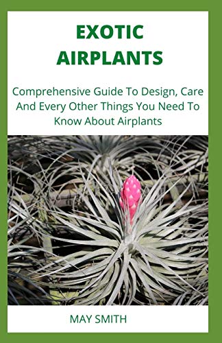 EXOTIC AIRPLANTS: Comprehensive Guide To Design, Care And Every Other Things You Need To Know About Airplants
