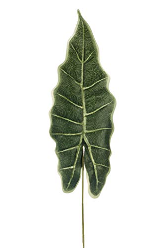 Express Flor Caja de 24 Hojas de alocasia Artificiales de 79cm Verde