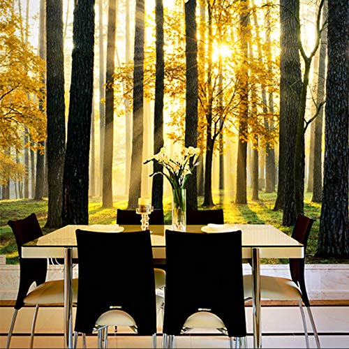 HUIJIE Fotomurales,Personalizado 3D Gran Mural Papel Pintado Bosque Sol Paisaje Sin Costuras Mural Salón Comedor Comedor Interior Decoración Papeles De Pared, 280Cm(H)×460Cm(W)
