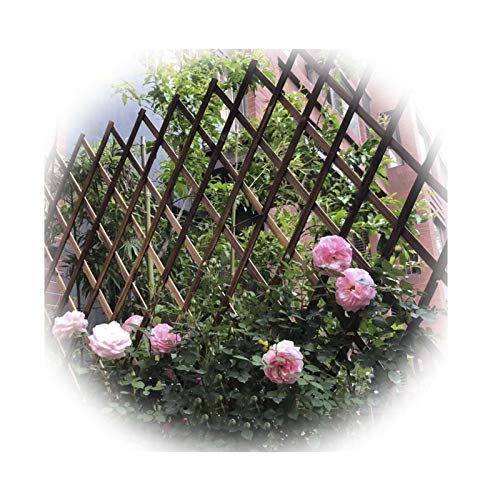 JIANFEI-Valla de jardín Pantalla De Jardín De Cerca De Enrejado De Madera Independiente En Expansión, Gratis Móvil Doblez Mascota Barrera, Jardín Dividir Decoración, 4 Tamaños (Size : 200X50CM) JIANFEI-Valla de jardín Pantalla De Jardín De Cerca De Enrejado De Madera Independiente En Expansión, Gratis Móvil Doblez Mascota Barrera, Jardín Dividir Decoración, 4 Tamaños (Size : 200X50CM)