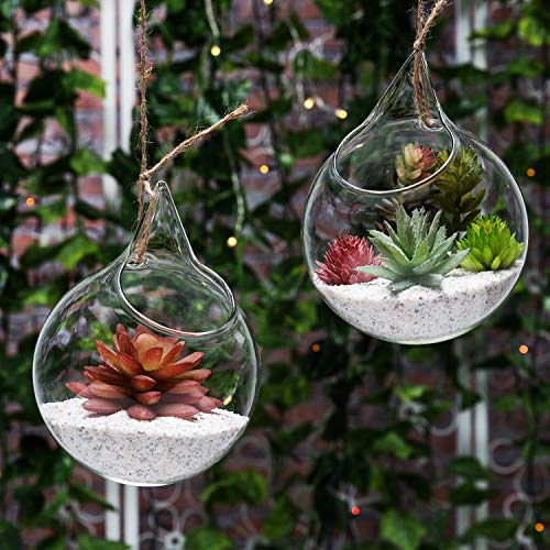 MyGift Lot de 2 globe en verre transparent à suspendre pour plantes, bougies, décorations