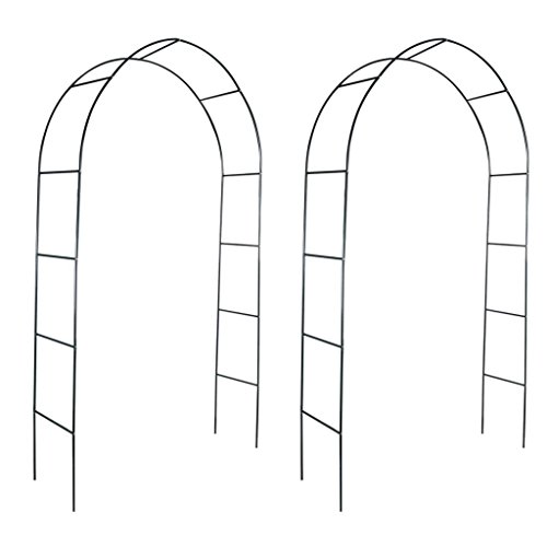 SENLUOWX - Arco de jardín de hierro para plantas trepadoras (2 unidades)