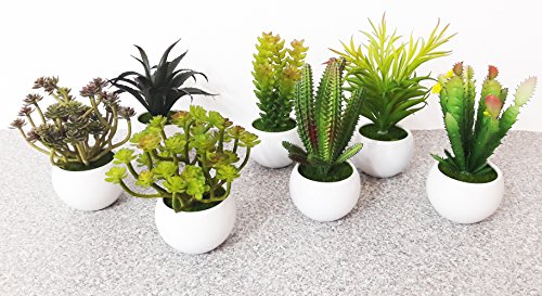takestop Piantina Grassa Planta Falsa Artificial jarrón Blanco cerámica Redondo 5 x 15 cm Decoración Diseño para Escritorio Oficina BOMBONIERA takestop Piantina Grassa Planta Falsa Artificial jarrón Blanco cerámica Redondo 5 x 15 cm Decoración Diseño para Escritorio Oficina BOMBONIERA