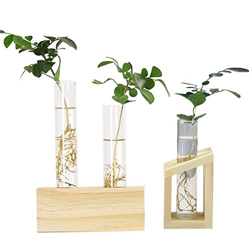 Vaso decorativo in legno con supporto idroponico,2 Pianta da Tavolo Terrario Vaso per Fioriera in Vetro Vaso in Vetro iantatrice di vetro da tavolo Stazione di propagazione Semplicemente per piantare Vaso decorativo in legno con supporto idroponico,2 Pianta da Tavolo Terrario Vaso per Fioriera in Vetro Vaso in Vetro iantatrice di vetro da tavolo Stazione di propagazione Semplicemente per piantare