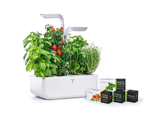 Véritable Smart Edition - Jardín de hierbas hidropónico, incluye 4 semillas de hierbas, para interior y jardín