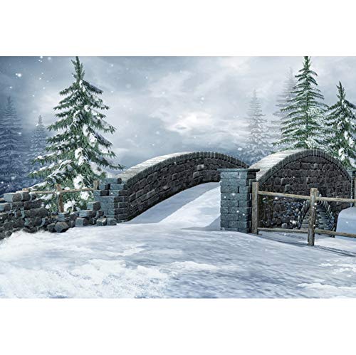 YongFoto 2,2x1,5m Fotografía Fondo para invierno Bosque congelado Arco Viejo puente de piedra La caída de nieve Valla de madera Foto Fondo de invierno para la fotografía Navidad Año nuevo Partido Foto
