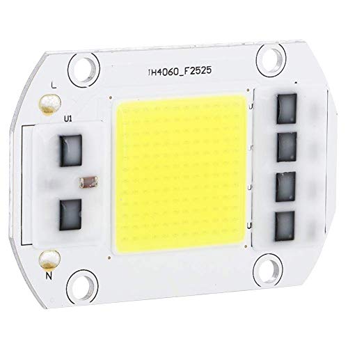 100W 220V LED Chip, Blanco frío de alta potencia LED Chip de alto voltaje COB LED Dimmer Bombilla Lámpara Granos Fuente de luz para uso interior al aire libre