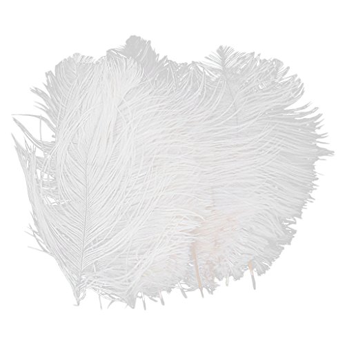 Almencla 10 Piezas de Plumas de Avestruz Blancas Manualidades Decorativas de 6,7 a 9 Pulgadas