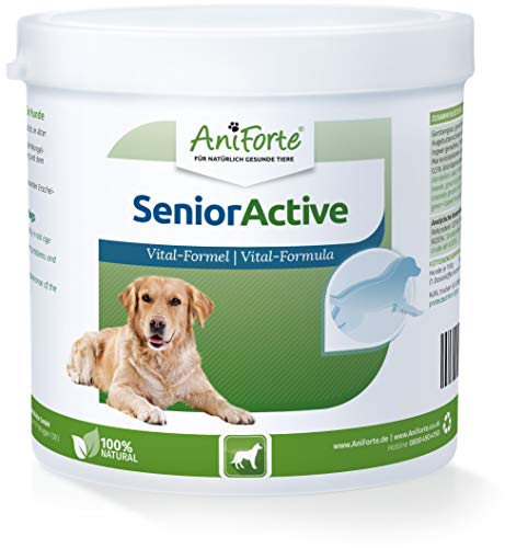 AniForte Senior Active en Polvo 250 g para Perros Mayores - minerales y vitaminas para Perros, Ayuda a la Memoria y a la función cardíaca, mejillón de Labios Verdes para la vitalidad y la Agilidad