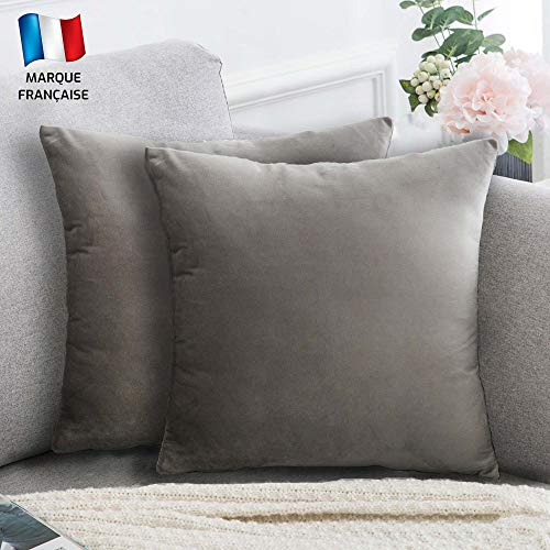 Douceur De Plumes Juego de 2 Fundas de cojín Gris Claro 50x50 Terciopelo Decorativo Liso, Suave y Moderna Funda de Almohada Cuadrada, decoración escandinava Sala, sofá, Dormitorio (2 Gris Claro)