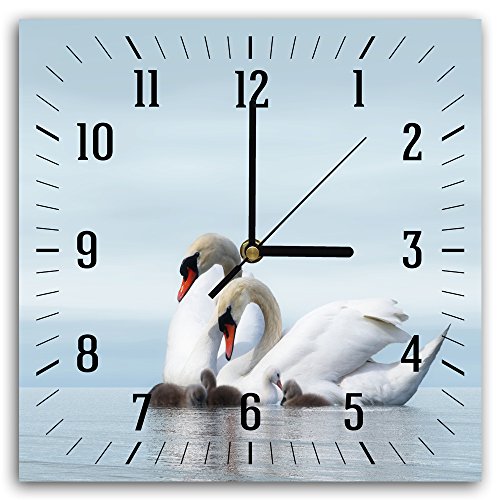 Feeby, Reloj de Pared, Multicolor Deco Panel con Reloj, 30x30 cm, Animales, CISNES, Lago, Agua, Naturaleza, Blanco, Azul