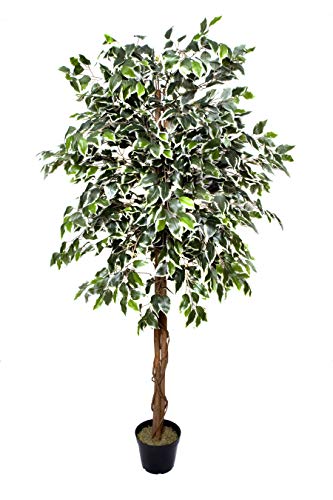 Ficus Artificial de 180 cm.