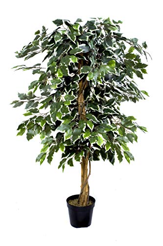 GreenBrokers Árbol Artificial de Ficus de 1,2 m, Planta en Maceta