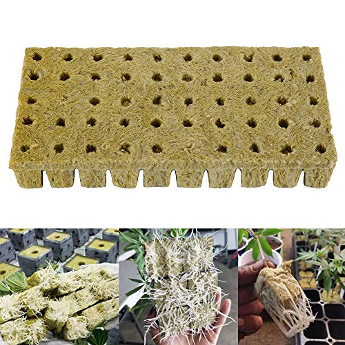 JTWEB - Lana de roca con 50 cubos de cultivo soilless (3 x 3 x 4 cm, lana de roca hidropónica, bandeja de arranque, semillas de plantas, grow hojas, bloque de propagación