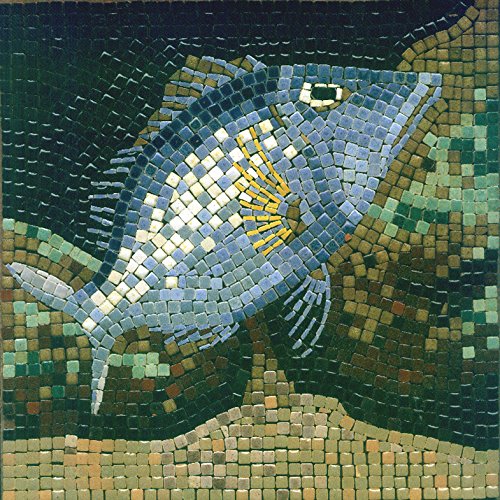 kit de mosaico, 20x20cm, Poisson-4
