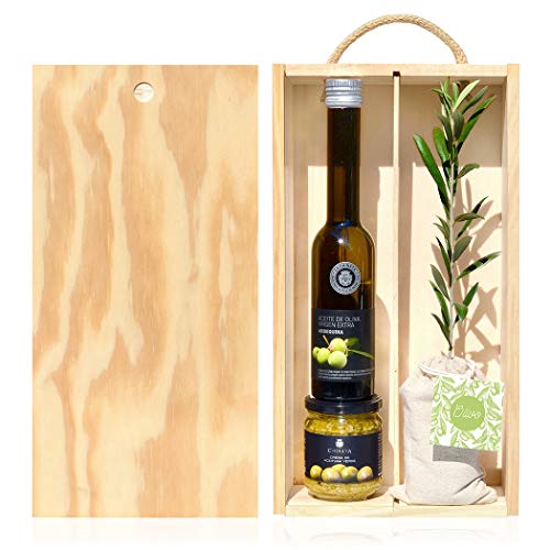 Lote Gourmet Regalo Oleum con árbol olivo natural pequeño, aceite de oliva virgen extra y crema para untar