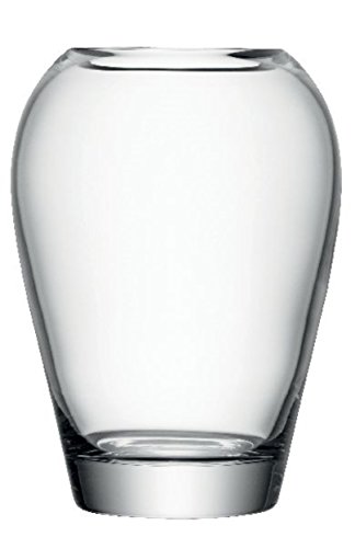 LSA International 25 cm Diseño de Ramo de jarrón de Flores, Transparente