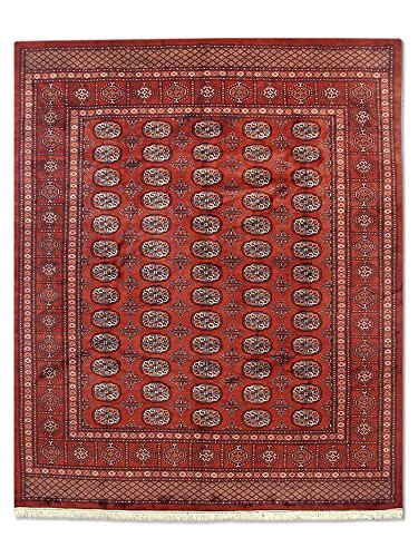 Pak Persian Rugs Hecho a Mano Tradicional Persa Bokhara Alfombra, Lana, Rojo, 250 x 295 cm, 8 '2 "x 9' 8" (ft)
