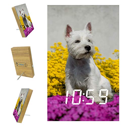 Reloj Despertador Digital para dormitorios Cocina Oficina 3 configuraciones de Alarma Radio Relojes de Escritorio de Madera - Retrato West Highland Terrier Puppy