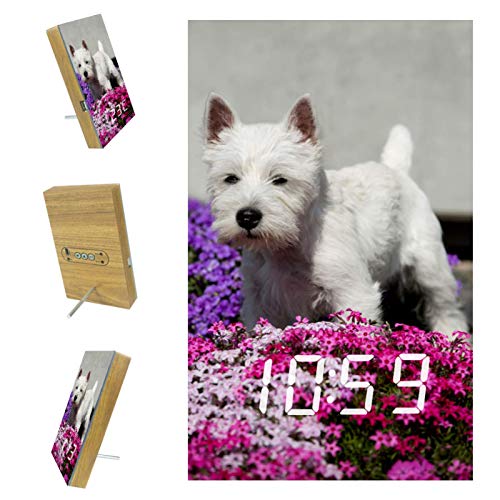 Reloj Despertador Digital para dormitorios Cocina Oficina 3 configuraciones de Alarma Radio Relojes de Escritorio de Madera - West Highland Terrier Puppy